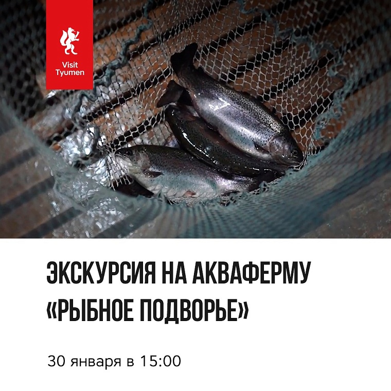 Афиша на уик-энд: День снега, вечеринка K-Pop и лекция про мультики