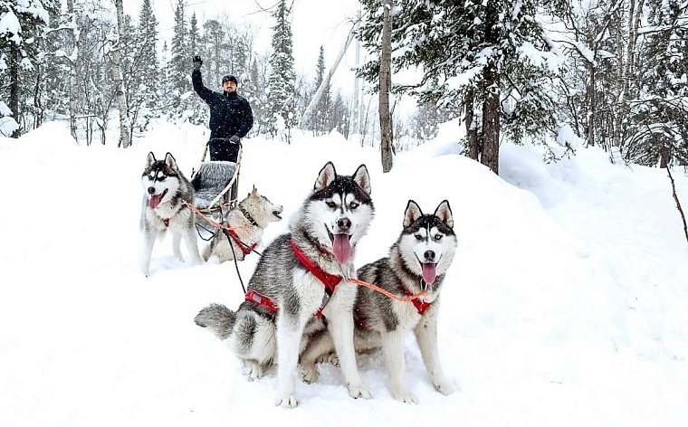 Афиша на уик-энд: День снега, вечеринка K-Pop и лекция про мультики