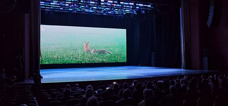 В Тюмени объявлены победители XI кинофестиваля «Ноль Плюс»