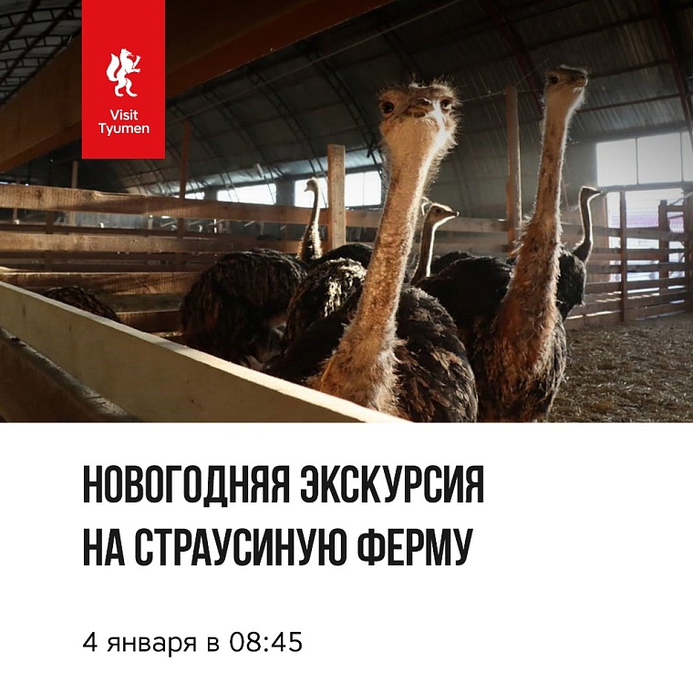 Тюменская афиша на все каникулы: с 1 до 9 января