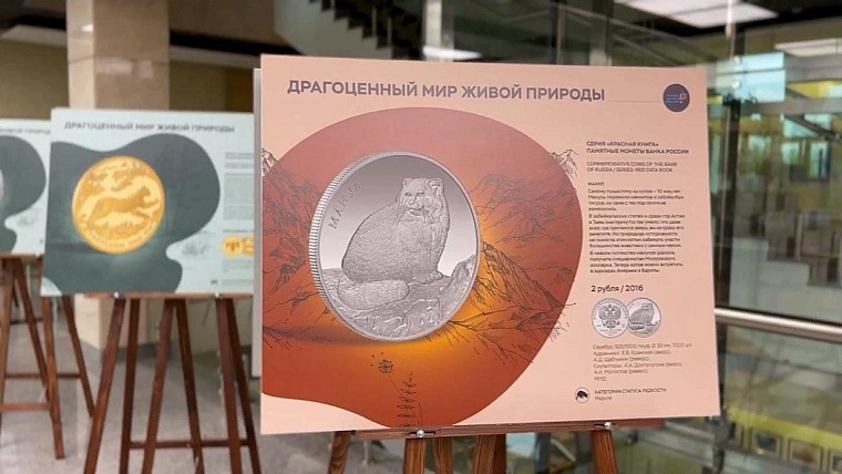 Фотовыставка "Драгоценный мир живой природы" открылась в Тюмени