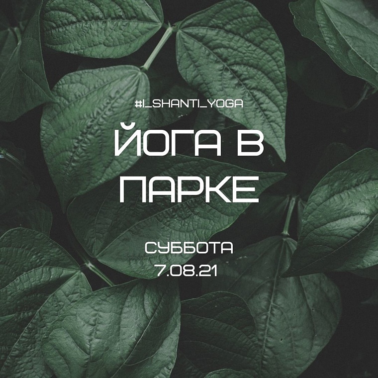 Афиша на уик-энд: экослет на болотах, сплав по Пышме и выходные в деревне