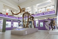 Уменьшенную копию мамонтенка Любы представят в салехардском музее