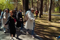 «Форест Джамп»: тюменцам предлагают прогуляться по Гилевской роще в наушниках