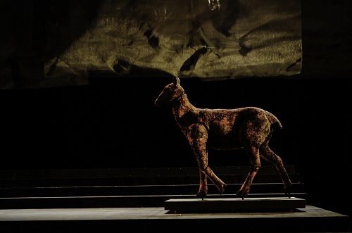 Премьера в ТБДТ: "Биография из леса" как повод поговорить о любви и страхе