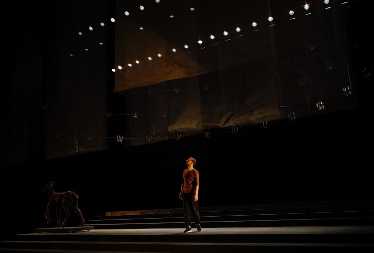 Премьера в ТБДТ: "Биография из леса" как повод поговорить о любви и страхе