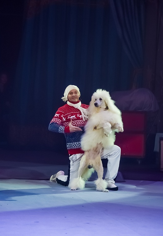 Тюменский цирк приглашает на новое представление "В гостях у волшебной сказки"