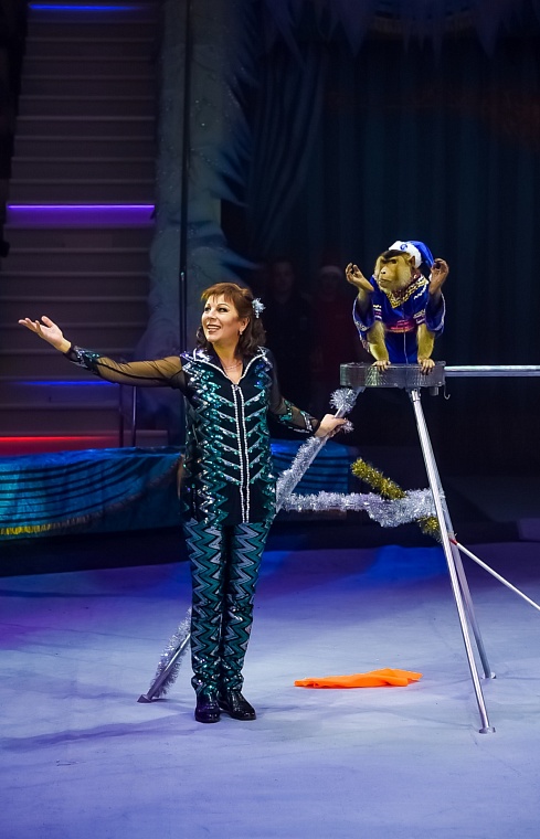 Тюменский цирк приглашает на новое представление "В гостях у волшебной сказки"