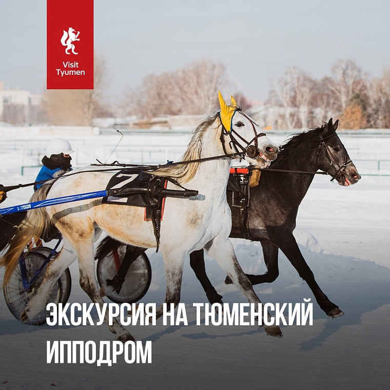 Афиша на уик-энд: валяем цыпленка, катаемся на старых тачках и ужинаем в светском кругу