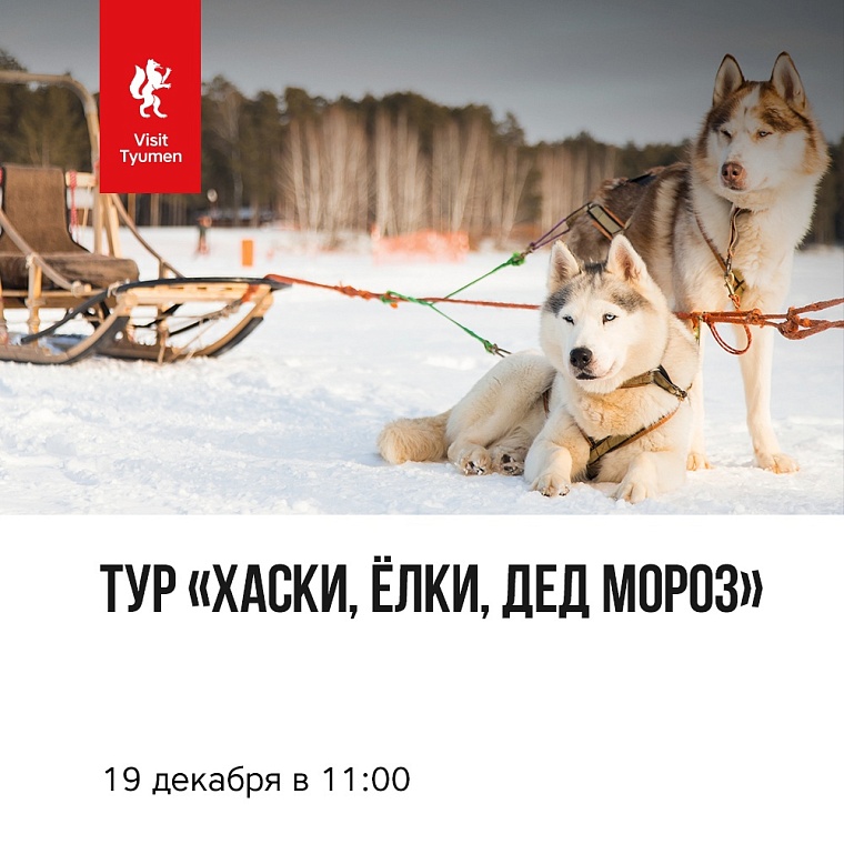 Афиша на уик-энд: покупаем подарки, смотрим сказки, катаемся на хаски