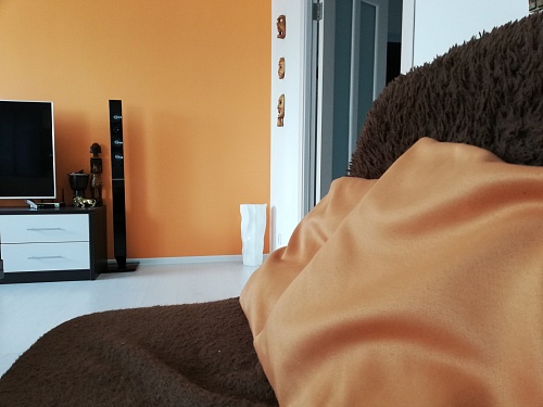 Как весной освежить интерьер в квартире: советы экспертов