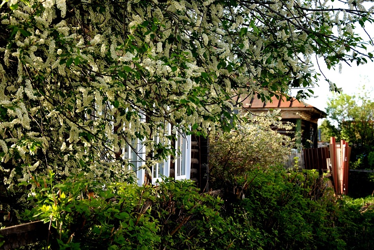 Как изменятся цены на загородную недвижимость весной 2024 года