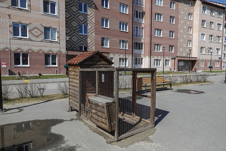 Городская разведка: сладкая жизнь в ЖК “Шоколад”