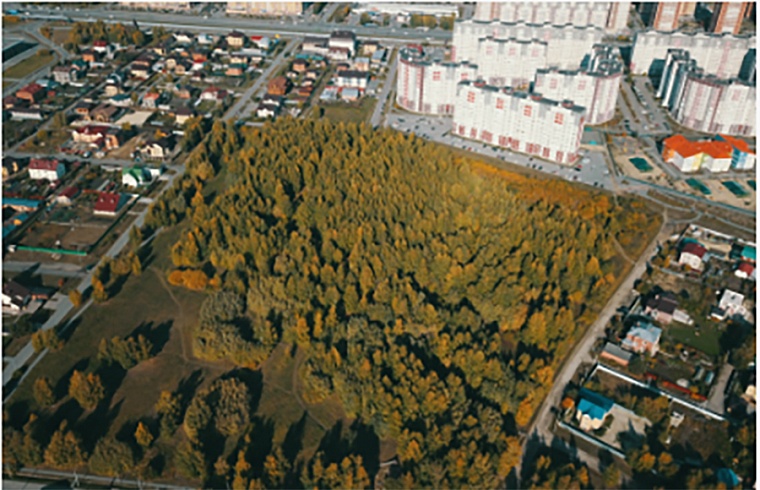 Амфитеатр, скейт-парк, стрит-арт, креативное пространство: тюменцы выбирают дизайн-проекты для благоустройства