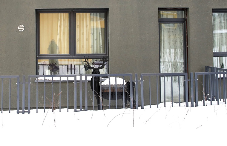 Городская разведка: “Дом. Лес. Парк” и плата за отопление