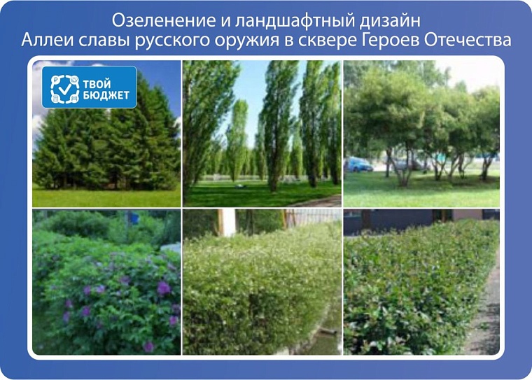 Инициативное бюджетирование: тюменцы могут поддержать идеи для реализации за счет бюджета