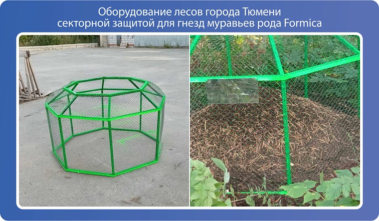 Инициативное бюджетирование: тюменцы могут поддержать идеи для реализации за счет бюджета