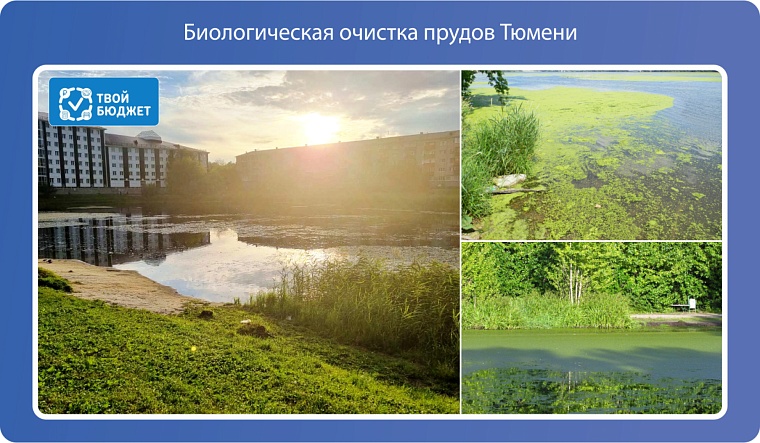 Инициативное бюджетирование: тюменцы могут поддержать идеи для реализации за счет бюджета