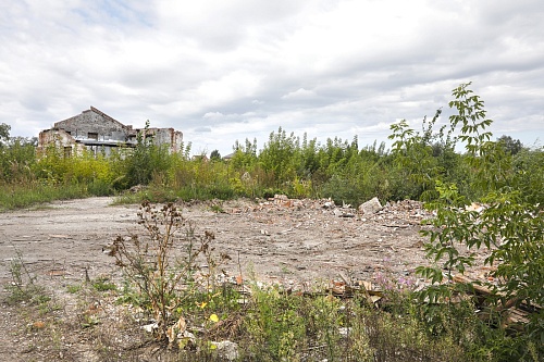 Пустырь с историей. Экскурсия на место будущего кампуса