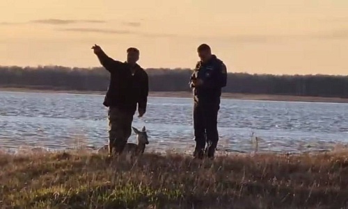 Оперативные данные о паводке: река Тобол за сутки поднялась на 144 см, Иртыш – на 129 см