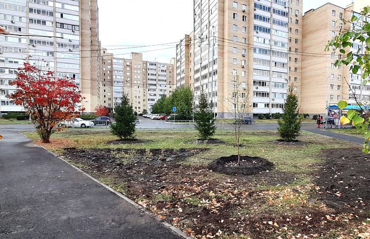 В Тюмени озеленили аллею Воинской славы в сквере Героев Отечества