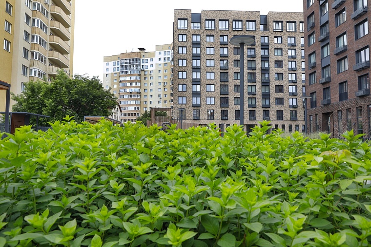 Городская разведка: безудержный лофт ЖК "Ньютон"