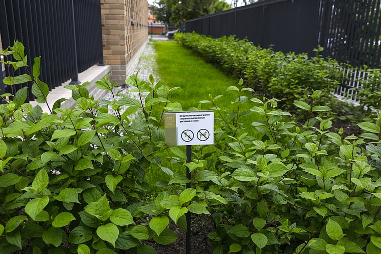 Городская разведка: безудержный лофт ЖК "Ньютон"
