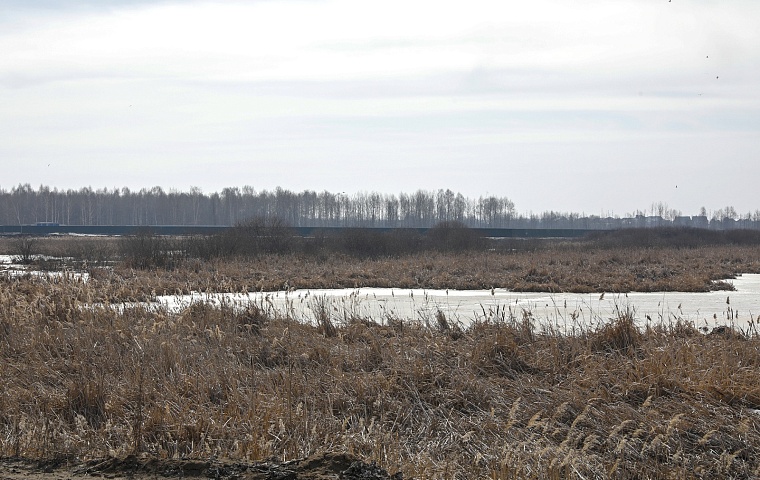 Городская разведка: ЖК “Скандиа. Квартал у озера”, где спят под крики чаек