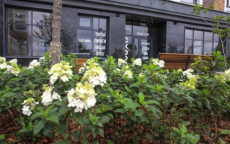 Городская разведка: пейзажи и амбиции "Айвазовского"