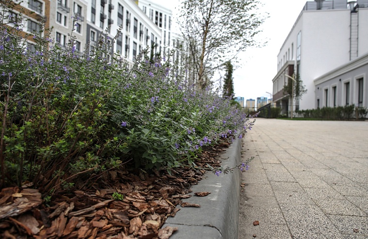 Городская разведка: пейзажи и амбиции "Айвазовского"