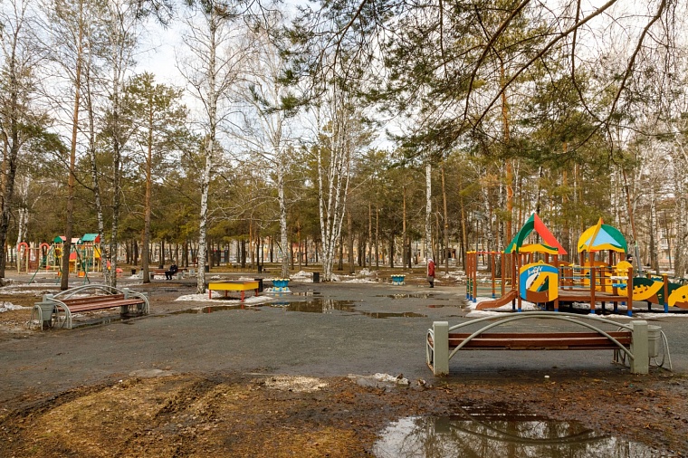 Благоустройство Школьного сквера в Тюмени начинается с обрезки деревьев и демонтажных работ