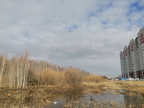 В Тюмени приступили к благоустройству парка Константина Лагунова