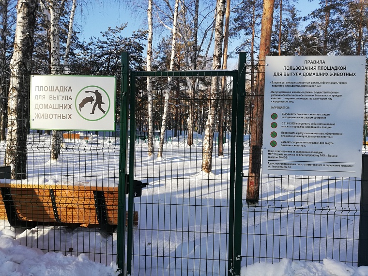 После открытия Школьного сквера в Тюмени появилась новая традиция