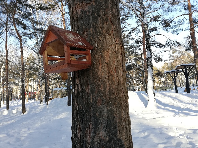После открытия Школьного сквера в Тюмени появилась новая традиция