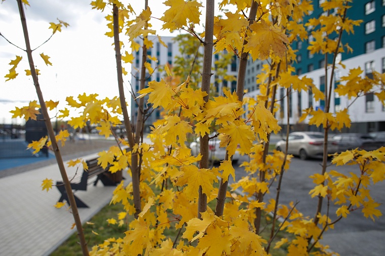 Городская разведка: эта территория зовется "Акватория"