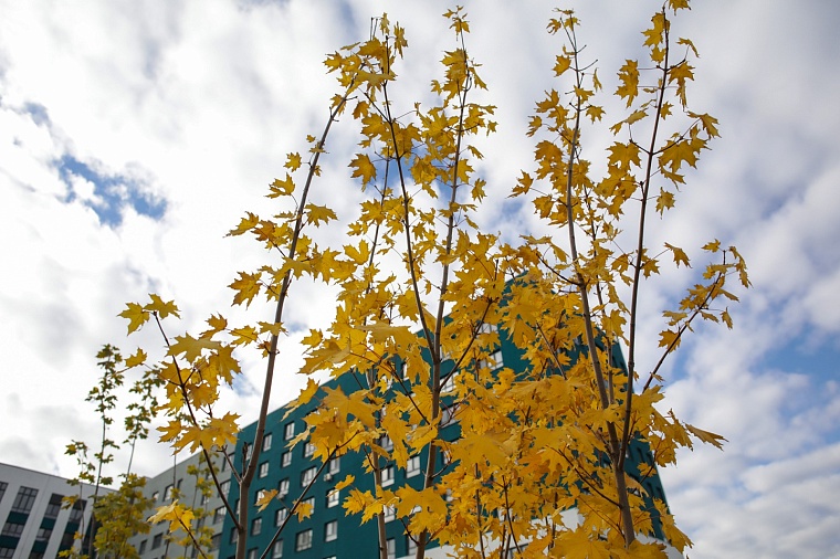 Городская разведка: эта территория зовется "Акватория"
