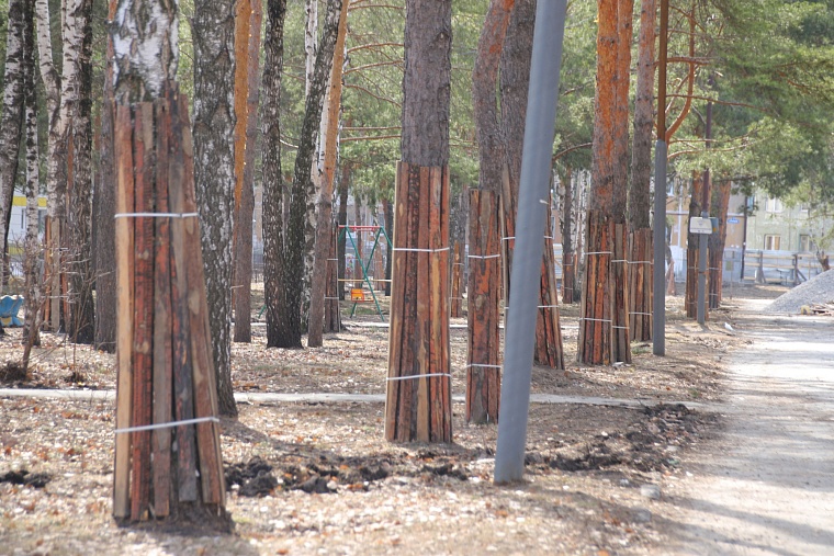 Школьный сквер огородили для благоустройства, но собак можно выгуливать