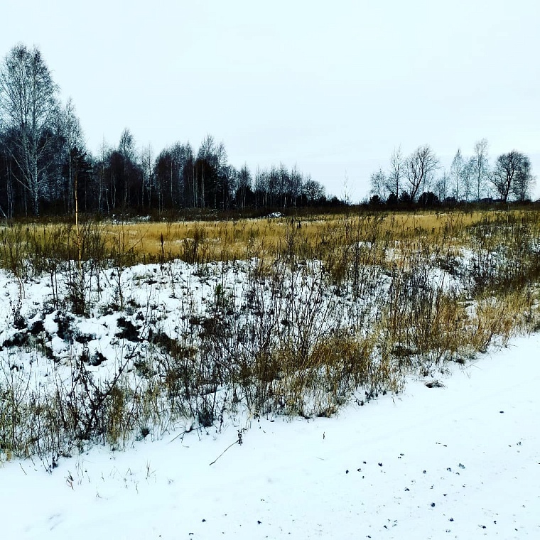 "Нам обещали футбол и теннис": жители поселка под Тюменью ждут благоустройства спортплощадок