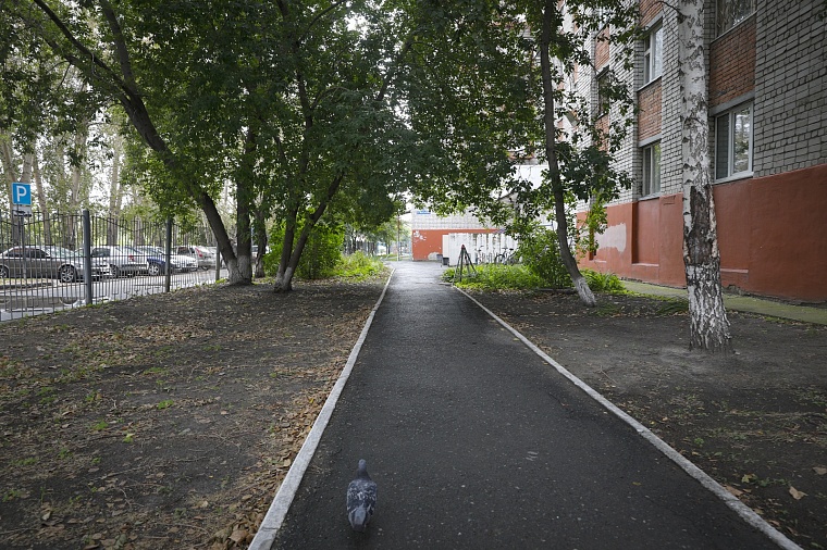 Студгородок на Мельникайте: здания прошлого века, заросший пруд и граффити