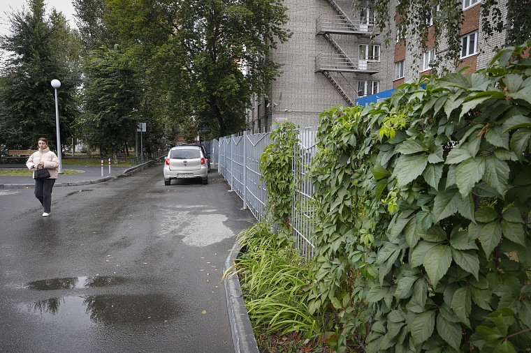 Студгородок на Мельникайте: здания прошлого века, заросший пруд и граффити
