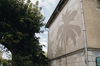 В центре Тюмени снесут дом с нарисованными пальмами