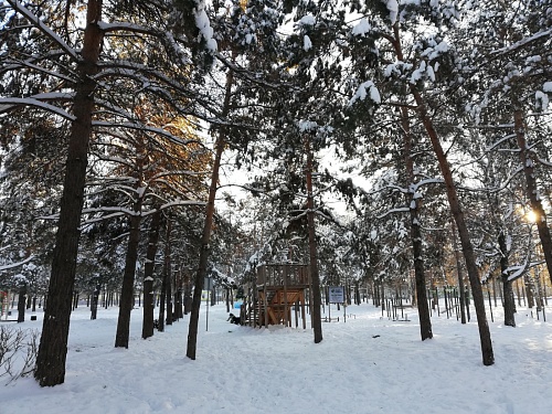 Тюменцы направили сотни предложений по благоустройству территорий в 2023 году