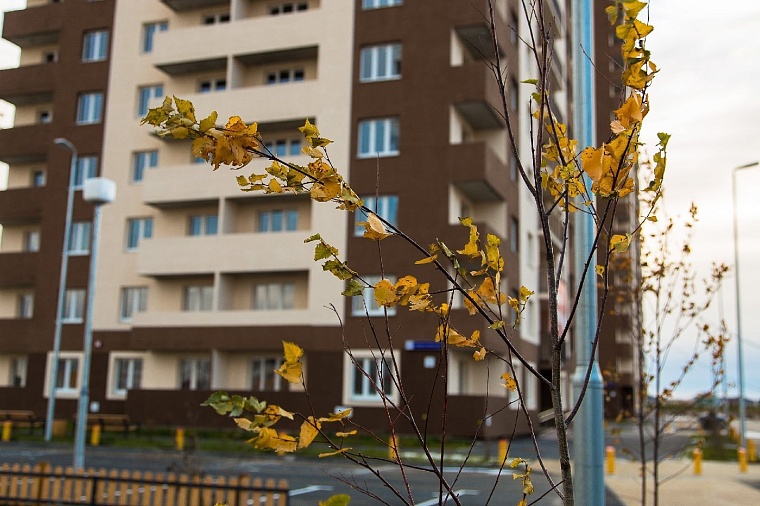 Борьба за новостройки в Тюмени: на ринг выходят теневые управляющие компании