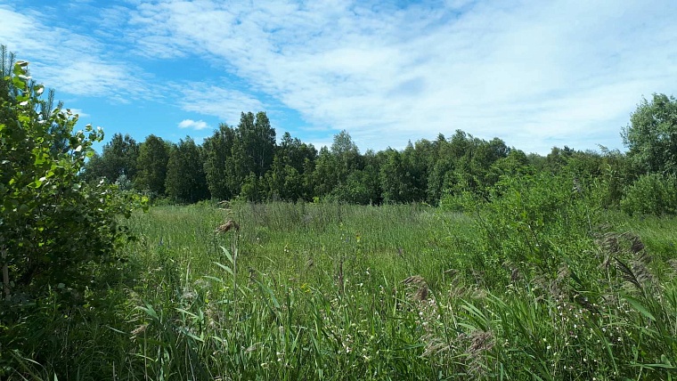 Место, где должна быть благоустроенная зона