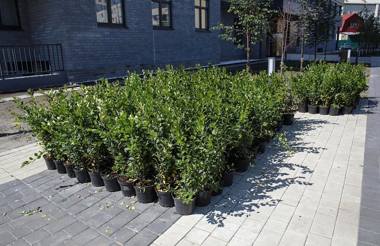 Городская разведка: теснота новостроек Московского тракта