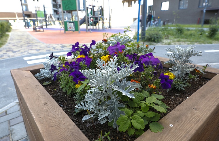 Городская разведка: канавы и мостики ЖК “Дебют”