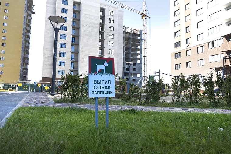 Городская разведка: канавы и мостики ЖК “Дебют”