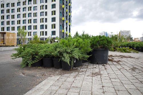 Городская разведка: ЖК "Озерный парк" вместо заводских цехов