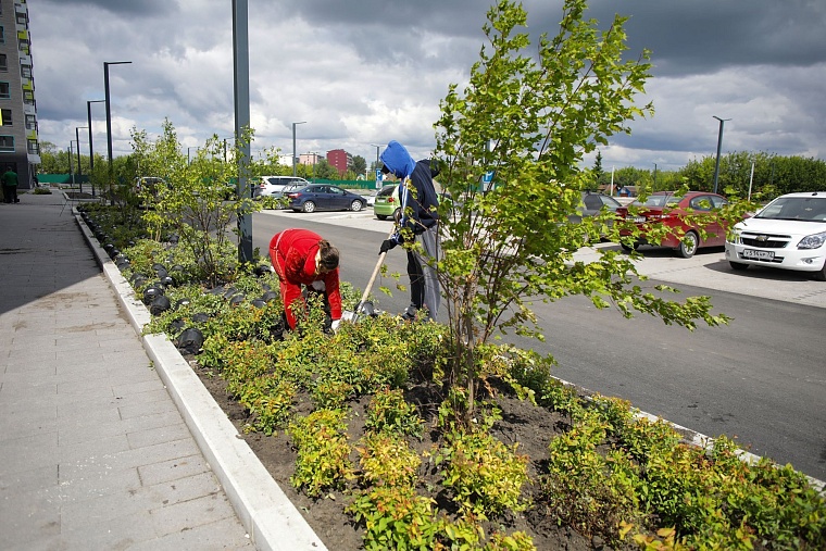 Городская разведка: ЖК "Озерный парк" вместо заводских цехов