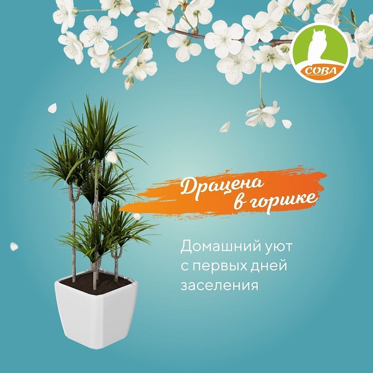 В Тюмень приходит "Весна на заречных улицах"